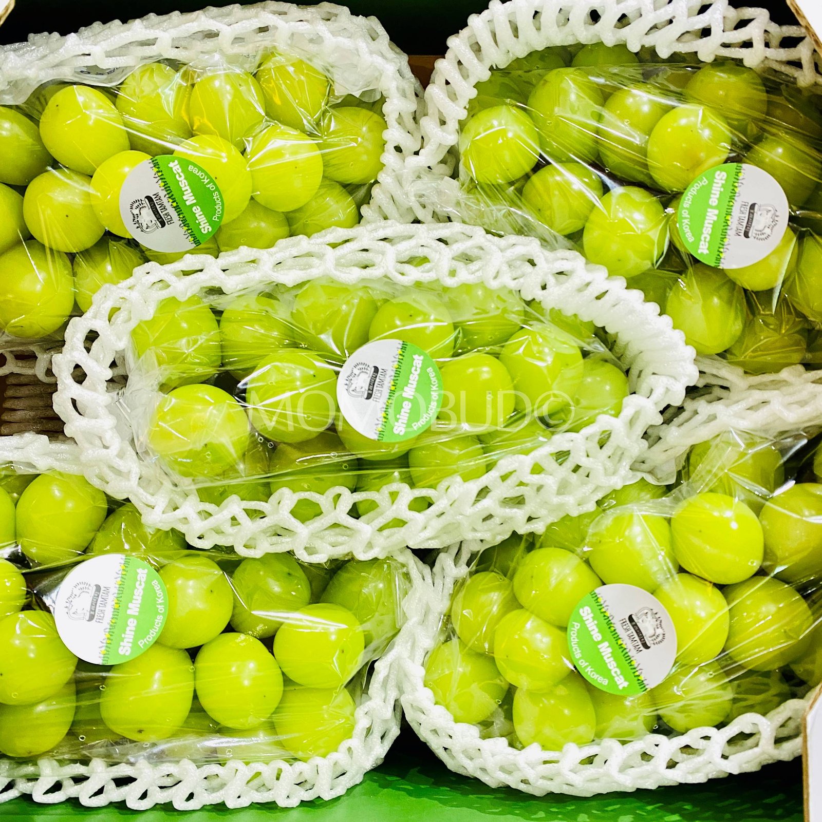 Shine Muscat Grapes
